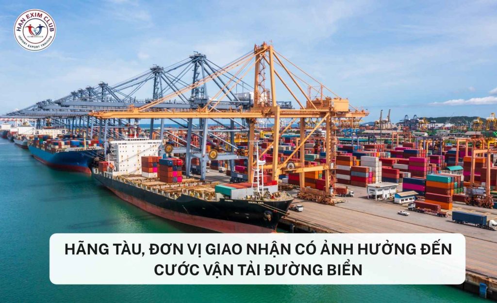 Hãng tàu, đơn vị giao nhận có ảnh hưởng đến cước vận tải đường biển