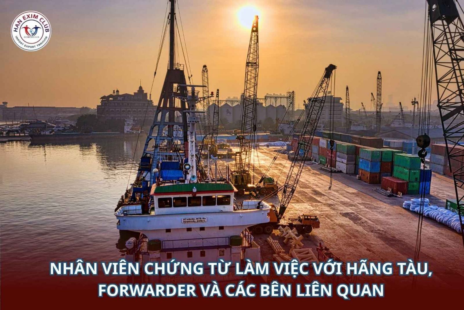 Nhân viên chứng từ làm việc với hãng tàu, forwarder và các bên liên quan