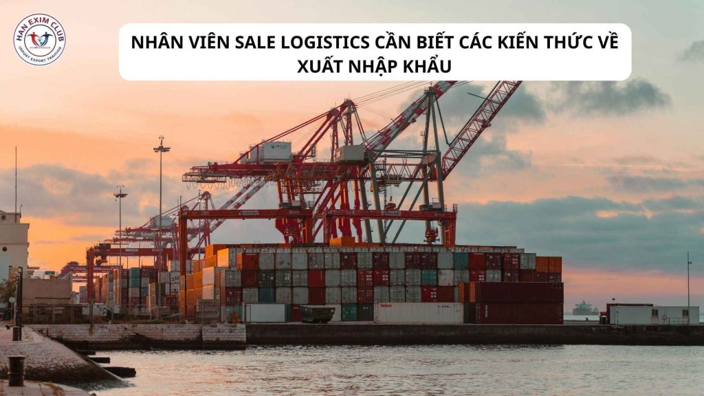 Nhân viên sale logistic cần biết các kiến thức về xuất nhập khẩu